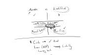Assets vs Liabilities
