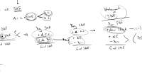 Retained Earnings vs Shareholder's Equity